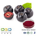 Aronia Berry Extract 1