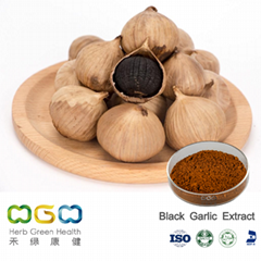 Black Garlic Extract