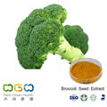 Broccoli Seed Extract 1
