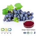 Grape Seed Extract 1