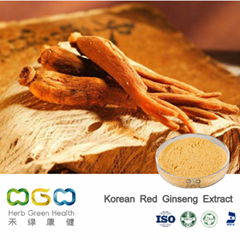 Korean Red Ginseng Extract