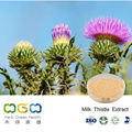 Milk Thistle Extract 1