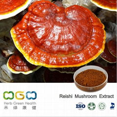 Reishi Mushroom Extract