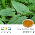 Horny Goat Weed Extract