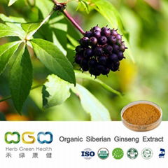 Organic Siberian Ginseng Extract