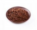 Alkalized Cocoa Powder  1