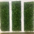 Production of lawn carpet cyan green wool height 1.5cm size 2x20m