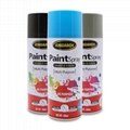 Multi-purpose Aerosol Spray Paint