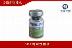 SPF雞陰性血清中海生物技術