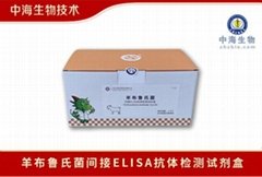 中海生物羊布魯氏菌間接ELISA抗體檢測試劑盒規格