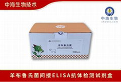中海生物羊布鲁氏菌间接ELISA抗体检测试剂盒规格
