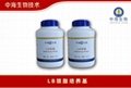 中海生物技术LB琼脂培养基规格 2
