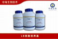 中海生物技术LB琼脂培养基规格 3