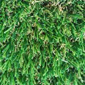 Artificial Grass Wholesale 1