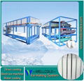 10T 20T 30T block ice machine manufacturer in China 1