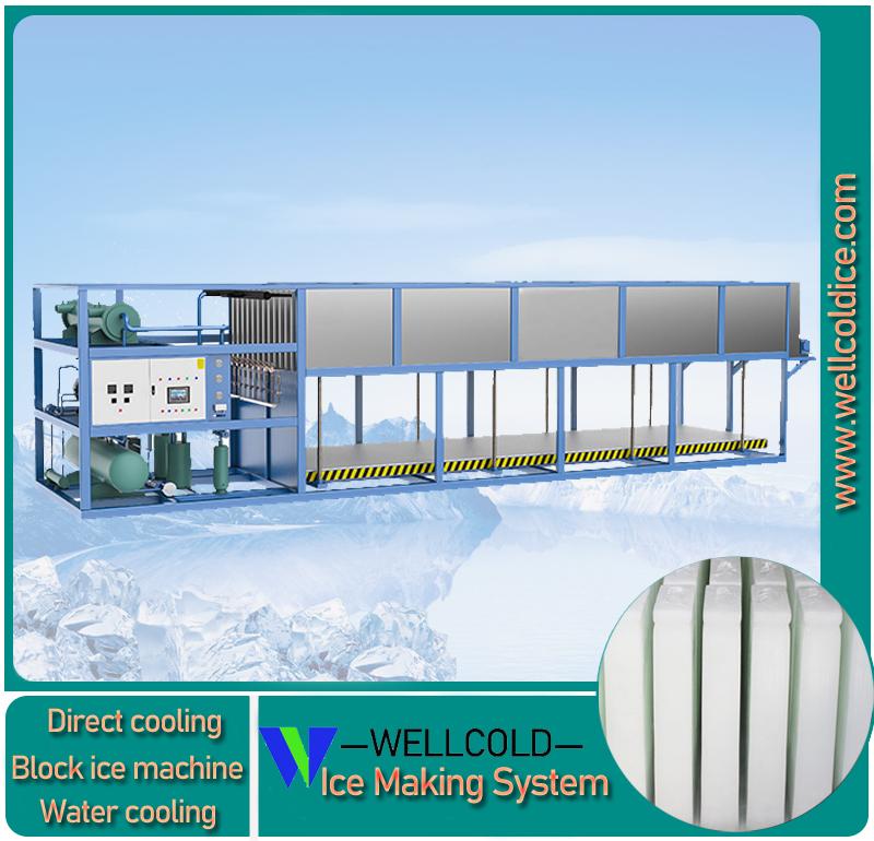 10T 20T 30T block ice machine manufacturer in China 2