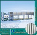 10T 20T 30T block ice machine manufacturer in China 2