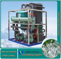 8T 10T 20T edible ice selling tube ice machine price