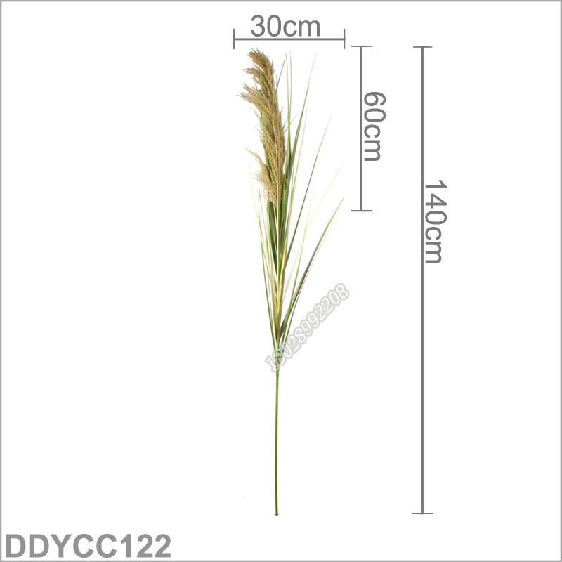 樹貓高杆真蘆葦防干花帶穗自然蒲葦婚慶佈置花藝擺件室內花束