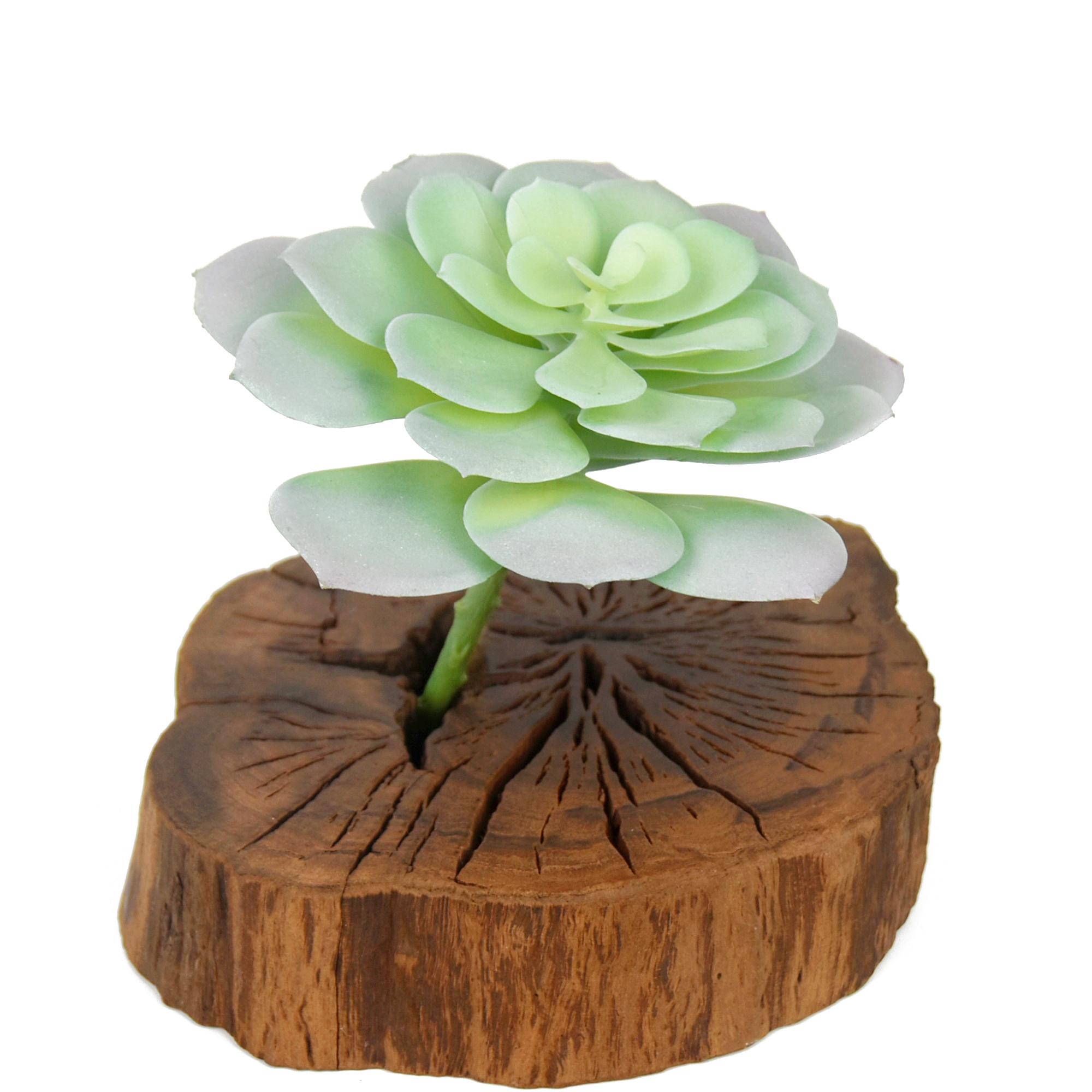 樹貓精品仿真多肉綠植仿真寶石蓮假植物拼盤 4