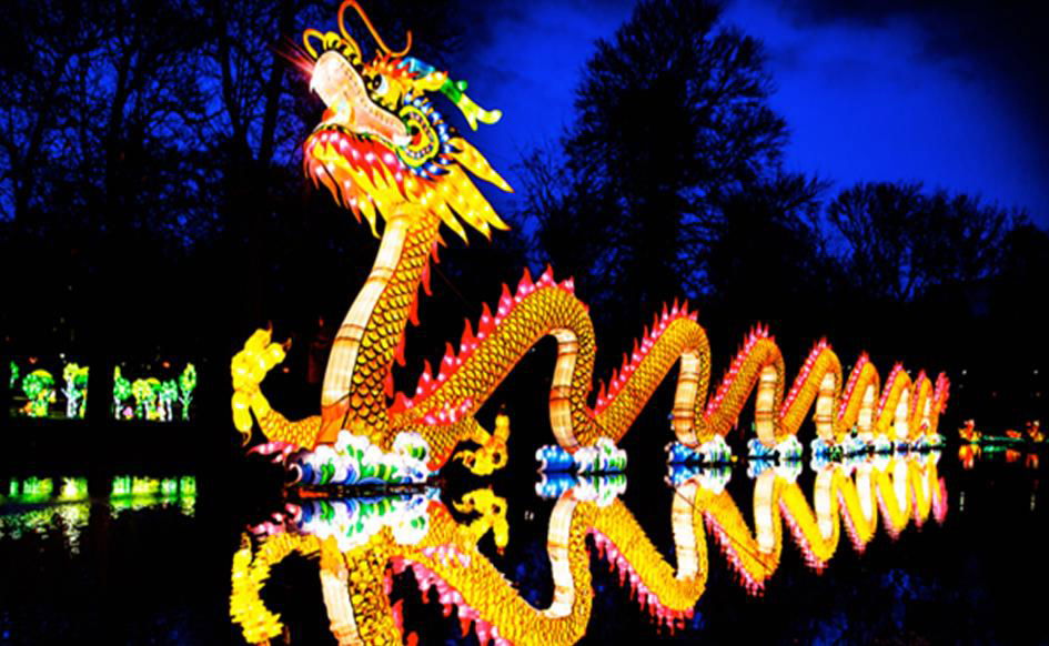 Chinese Dragon-shaped Lantern 3