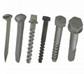 Rail Spikes, Dog Spikes, Screw Spikes, Railway Fasteners 2