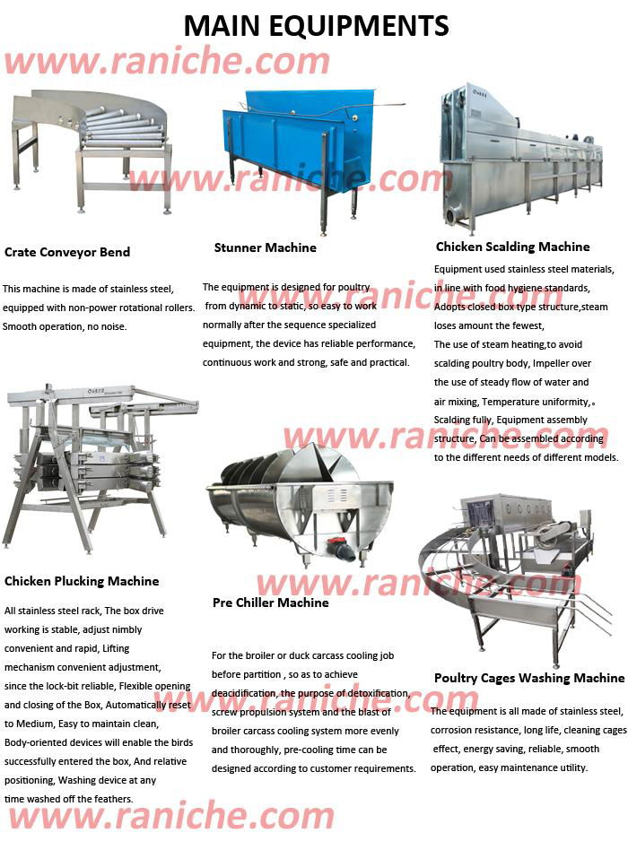 1000bph to 6000bph Automatical Poultry Duck Slaughtering Processing Equipment 2