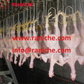 500 to 2000bph Poultry Abattoir Duck