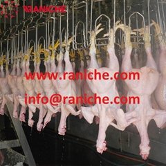 500 to 2000bph Poultry Abattoir Duck Slaughter Equipment Slaughtering Machine