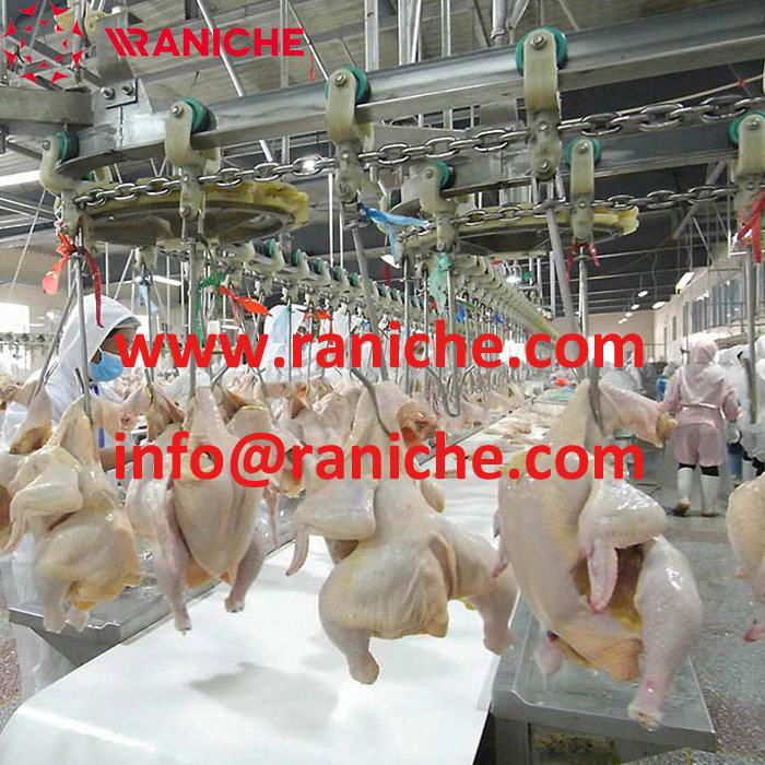 1000BPH Poultry Processing Equipment Chicken Slaughtering Equipment Plant