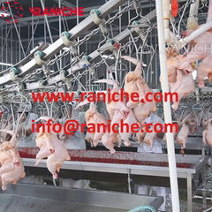 1000 to 1500BPH Mini Automatic Chicken Slaughterhouse