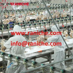 500 to 2000Bph Chicken Meat Processing Machine Slaughter Processing Line Plant