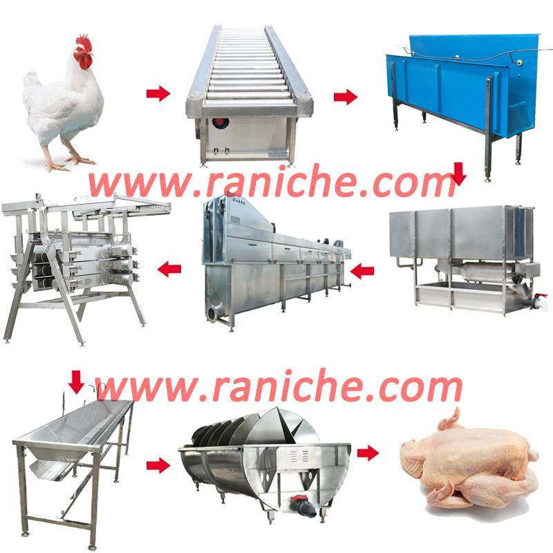 500 to 2000Bph Chicken Slaughterhouse Slaughtering Machine 2