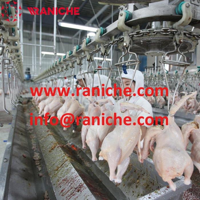 500 to 12000 bph halal chicken slaughter machine chicken processing plant