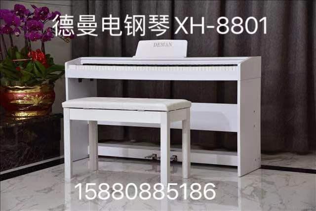 數碼鋼琴 德曼電鋼琴 2