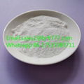 Titanium dioxide  CAS13463-67-7 for sale