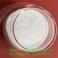 Nootropic agent Pramiracetam powder cas 68497-62-1 for sale 