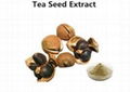 tea saponin powder tea seed extract