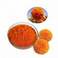  Marigold  Extract Lutein