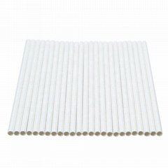 Biodegradable disposable paper straw