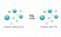 Transglutaminase