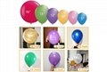 10 inch Latex Balloon 1