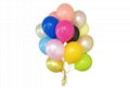 12 inch Latex Balloon 1