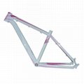 wholesale factory supply high quality bicycle frame 