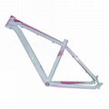 wholesale factory supply high quality bicycle frame  1