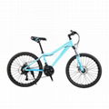 High Quality Mountain Bikes for Men and Women  3