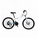 High Quality Mountain Bikes for Men and Women 