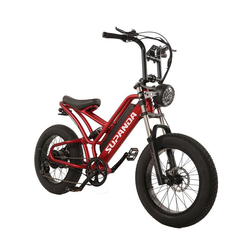 Hot Selling E-bike 20 Inch             Electric Bicycle Wholesale       