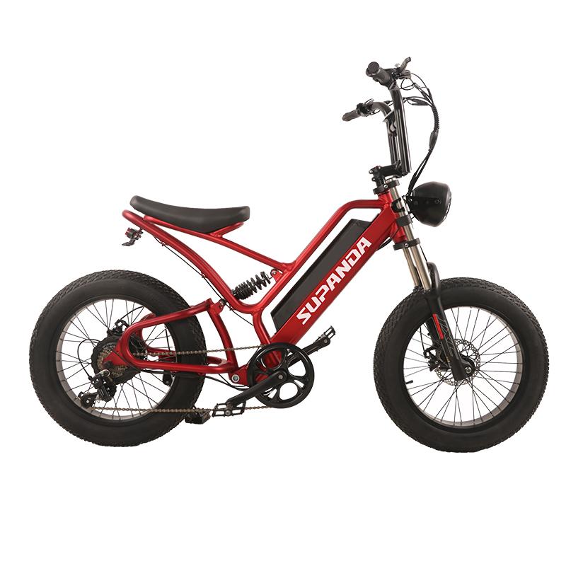 Hot Selling E-bike 20 Inch             Electric Bicycle Wholesale        2