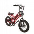 Hot Selling E-bike 20 Inch             Electric Bicycle Wholesale        3